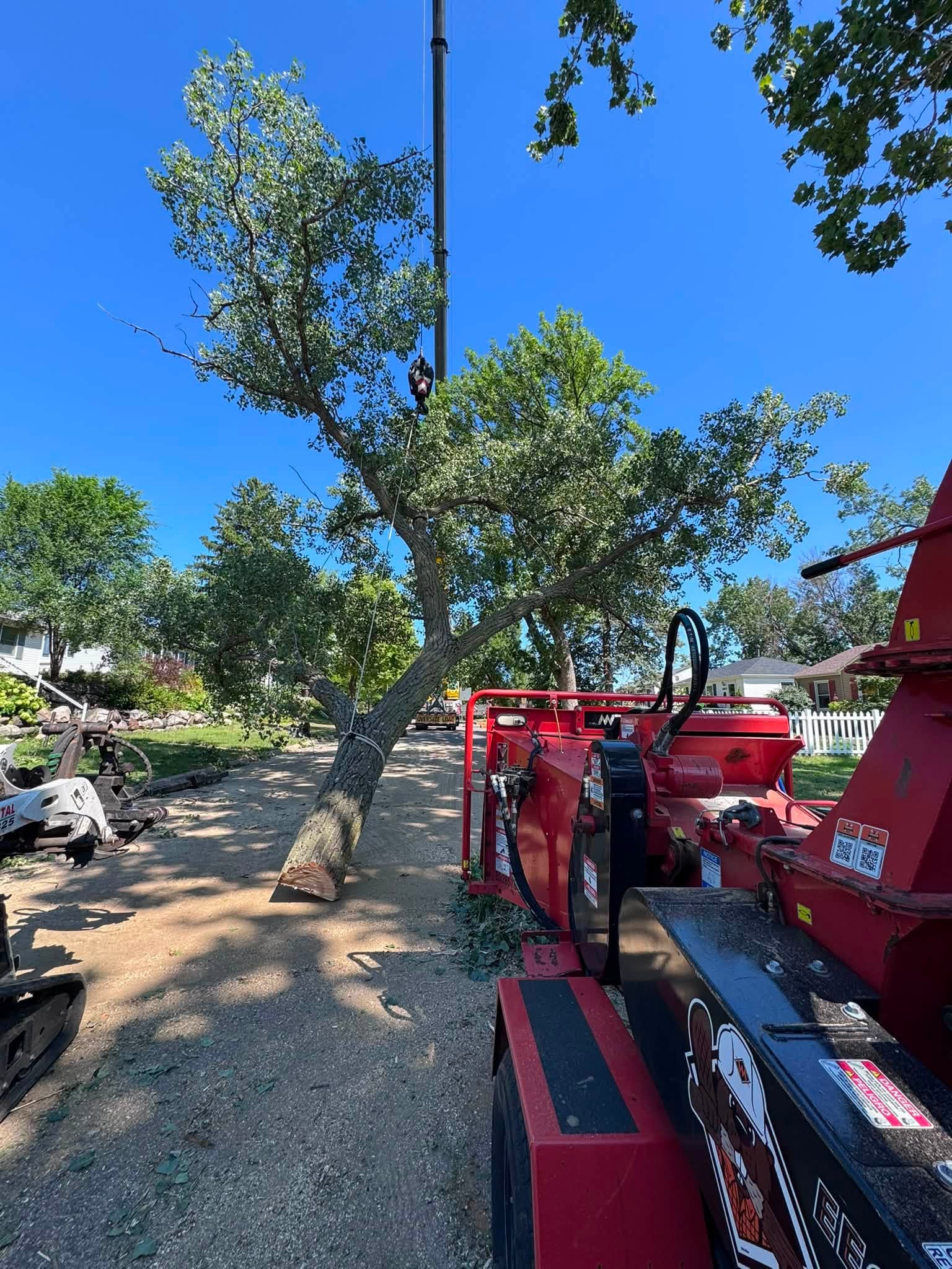 emergency tree removal services in anoka county mn