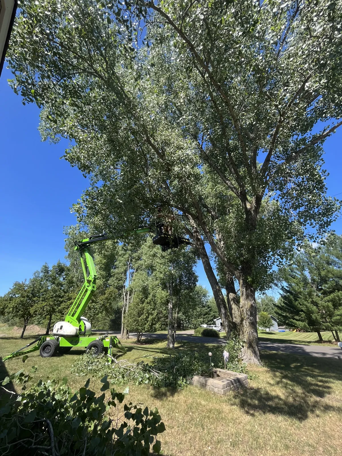 tree removal services in Andover MN