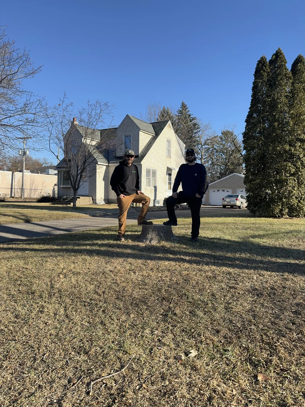 tree removal services in Elk River MN