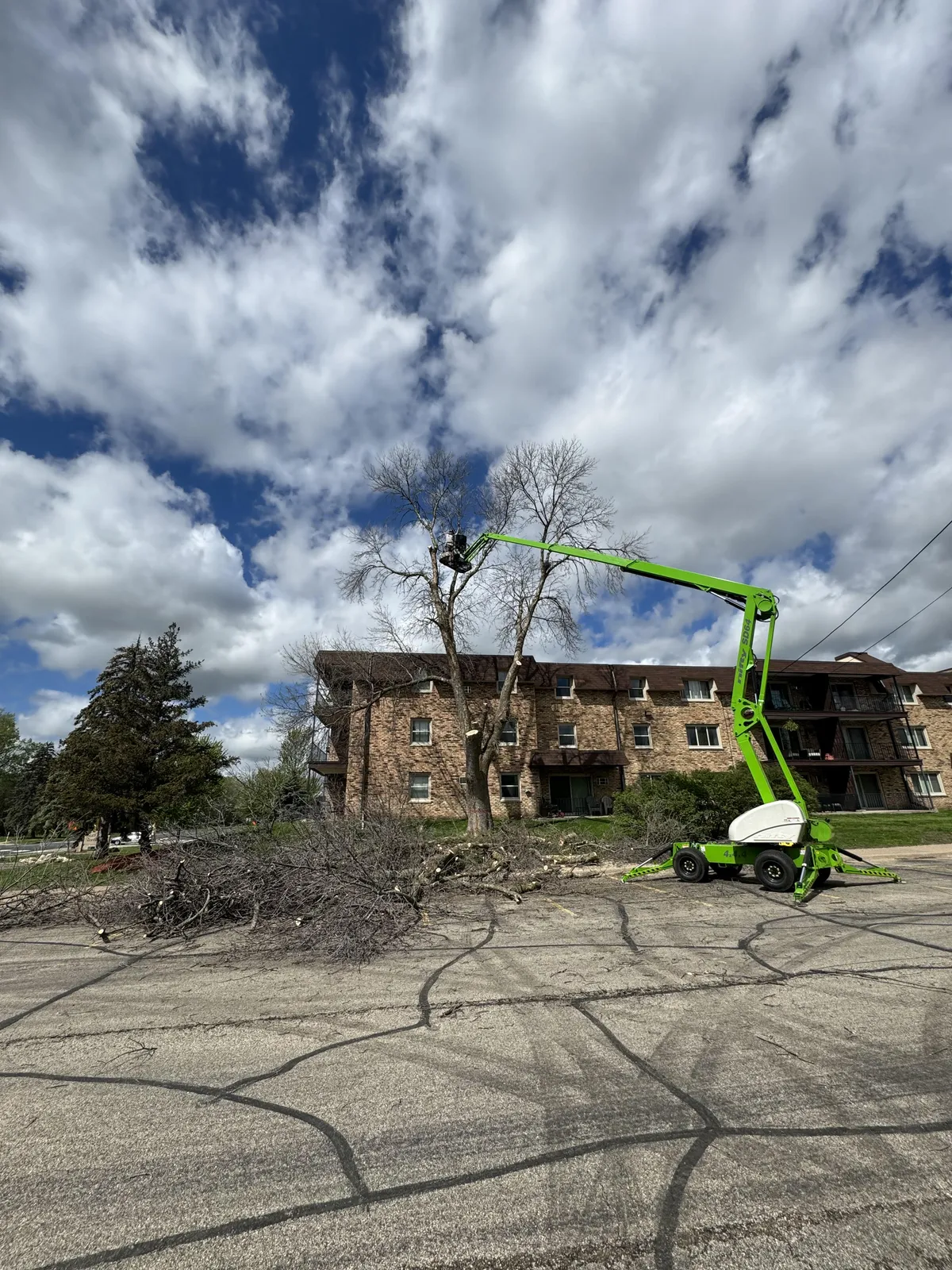 tree removal services in Ramsey MN