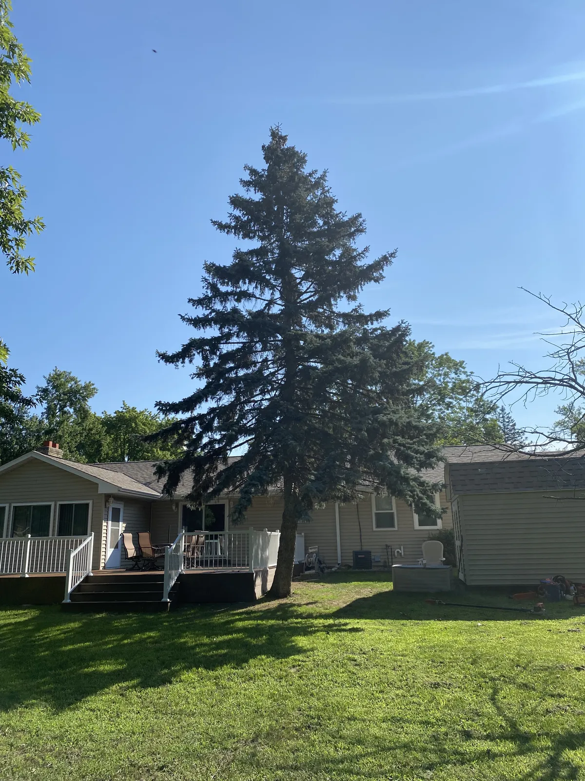tree removal services in Rogers MN