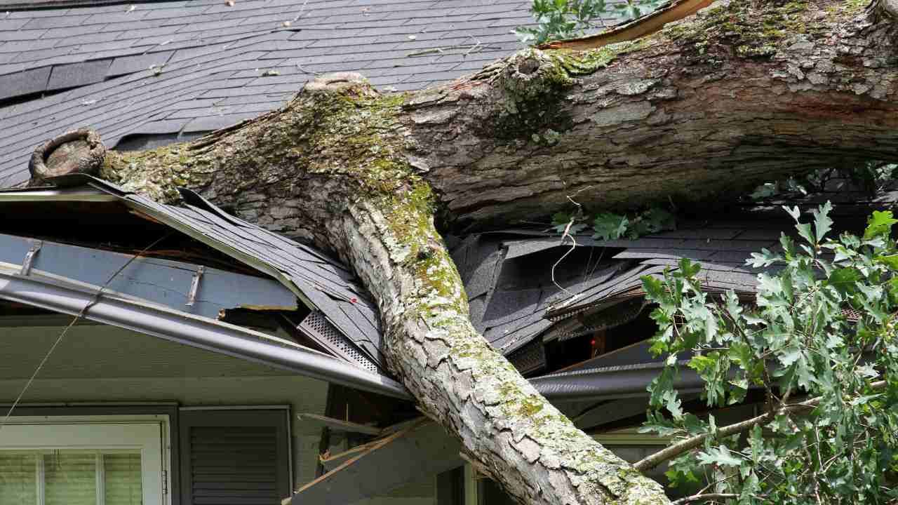 storm damage roof claims