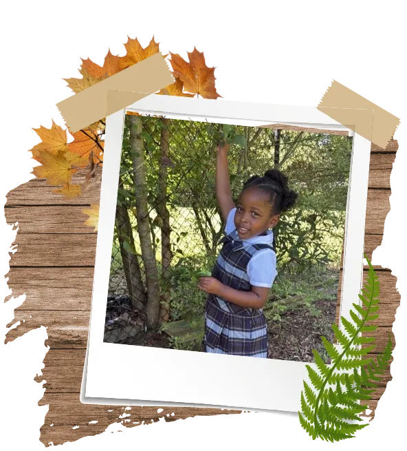 Toddlers touching tree and leaves at Hopscotch Academy in (Location)