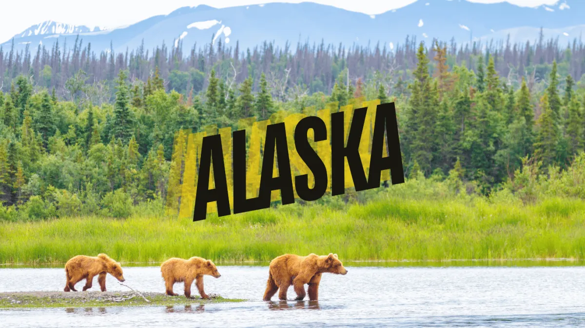 Access Alaska property owner database