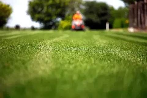 Low angle view of striped lawn after mowing service in Rochelle