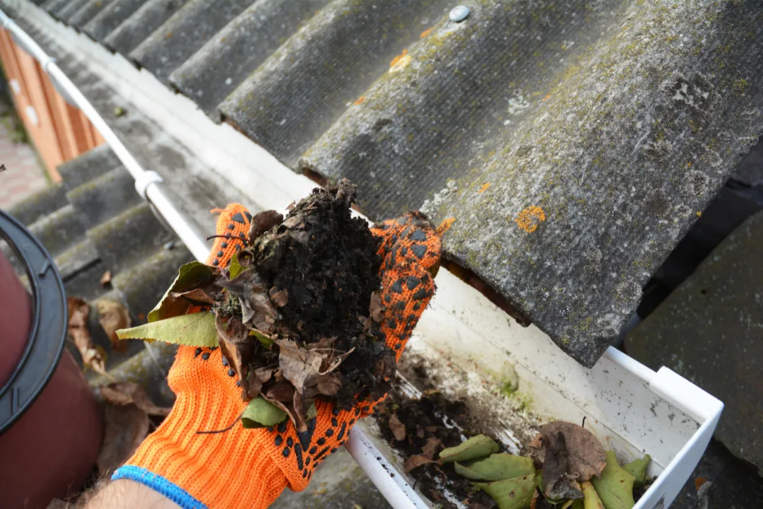 Cleaning Gutters 