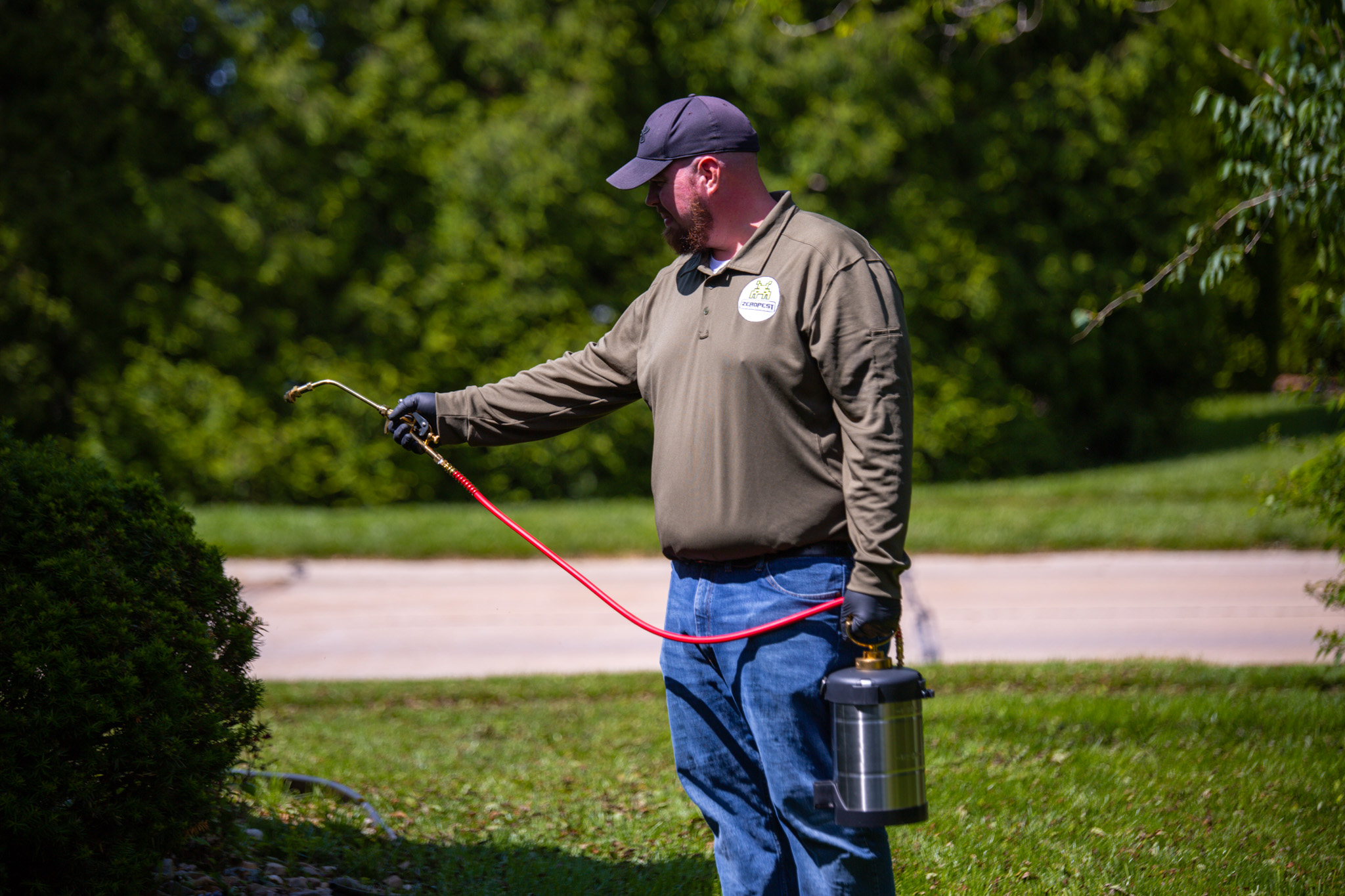 Zero Pest technician treating the foundation shrubs of a St. Louis home for ants