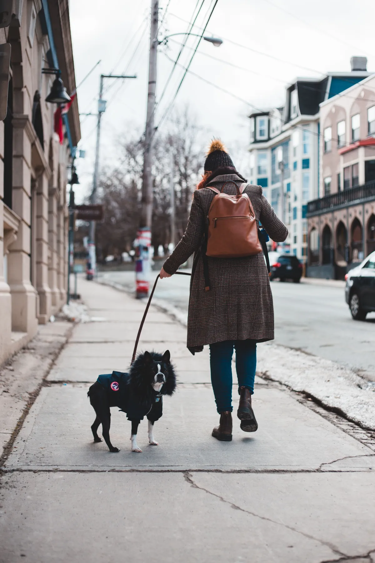 A person wearing a coat and backpack while walking a dog