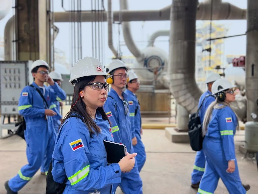 A pile of rusty chains.