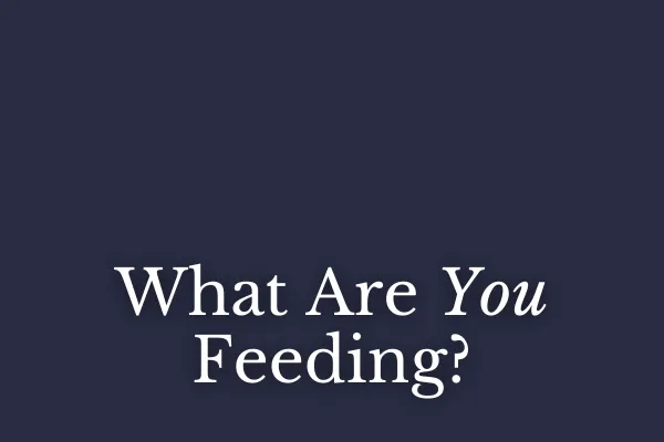 What Are You Feeding?