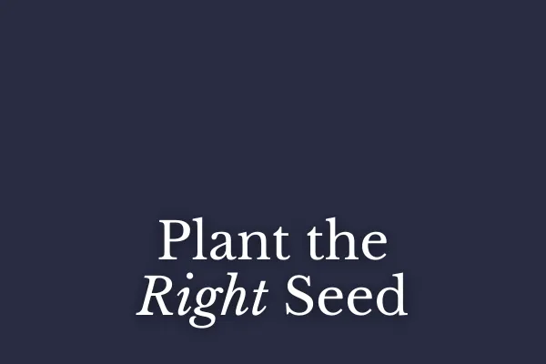 Plant the Right Seed