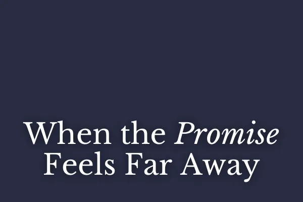 When the Promise Feels Far Away