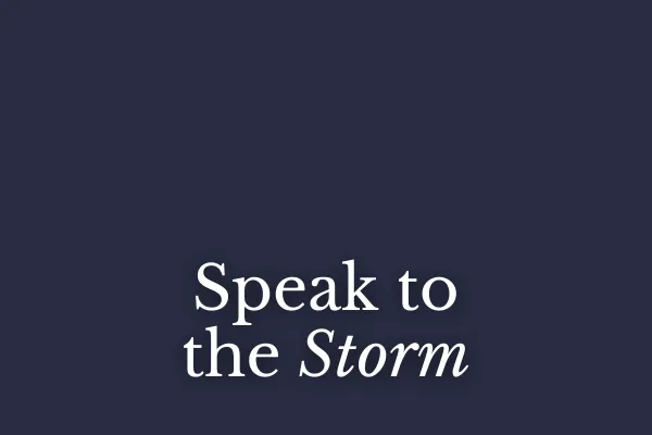 Speak to the Storm