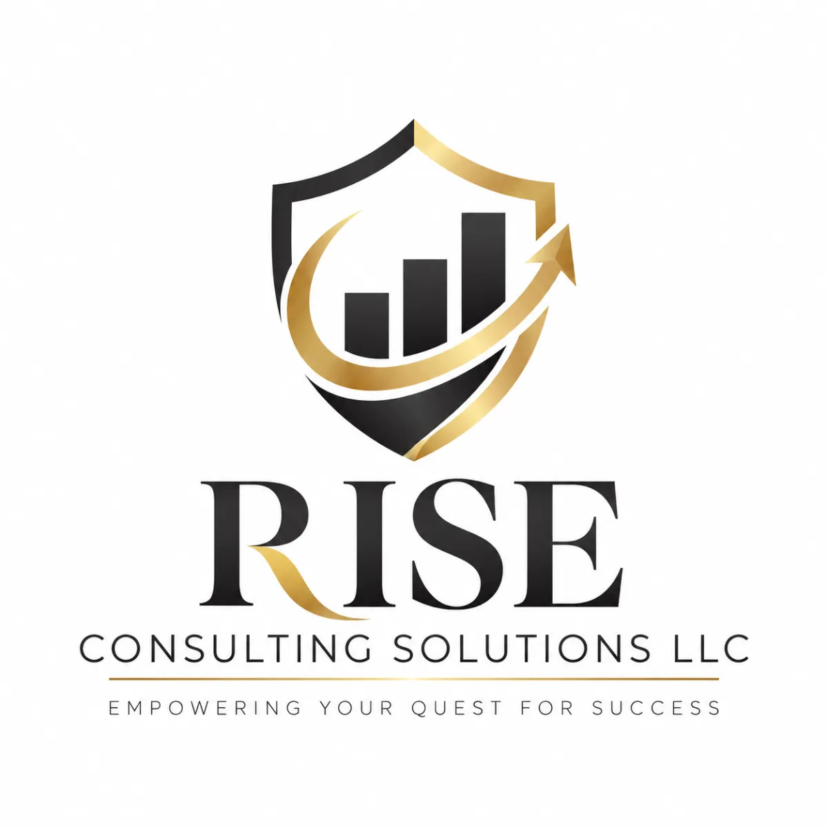 Rise Consulting Solutions LLC Logo