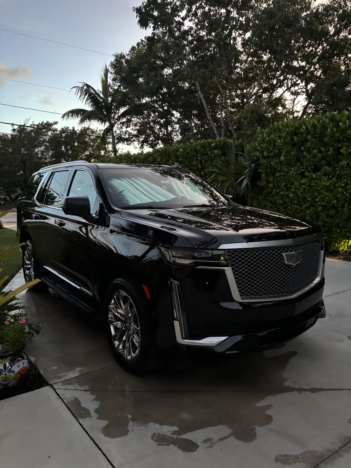 Detailed Escalade