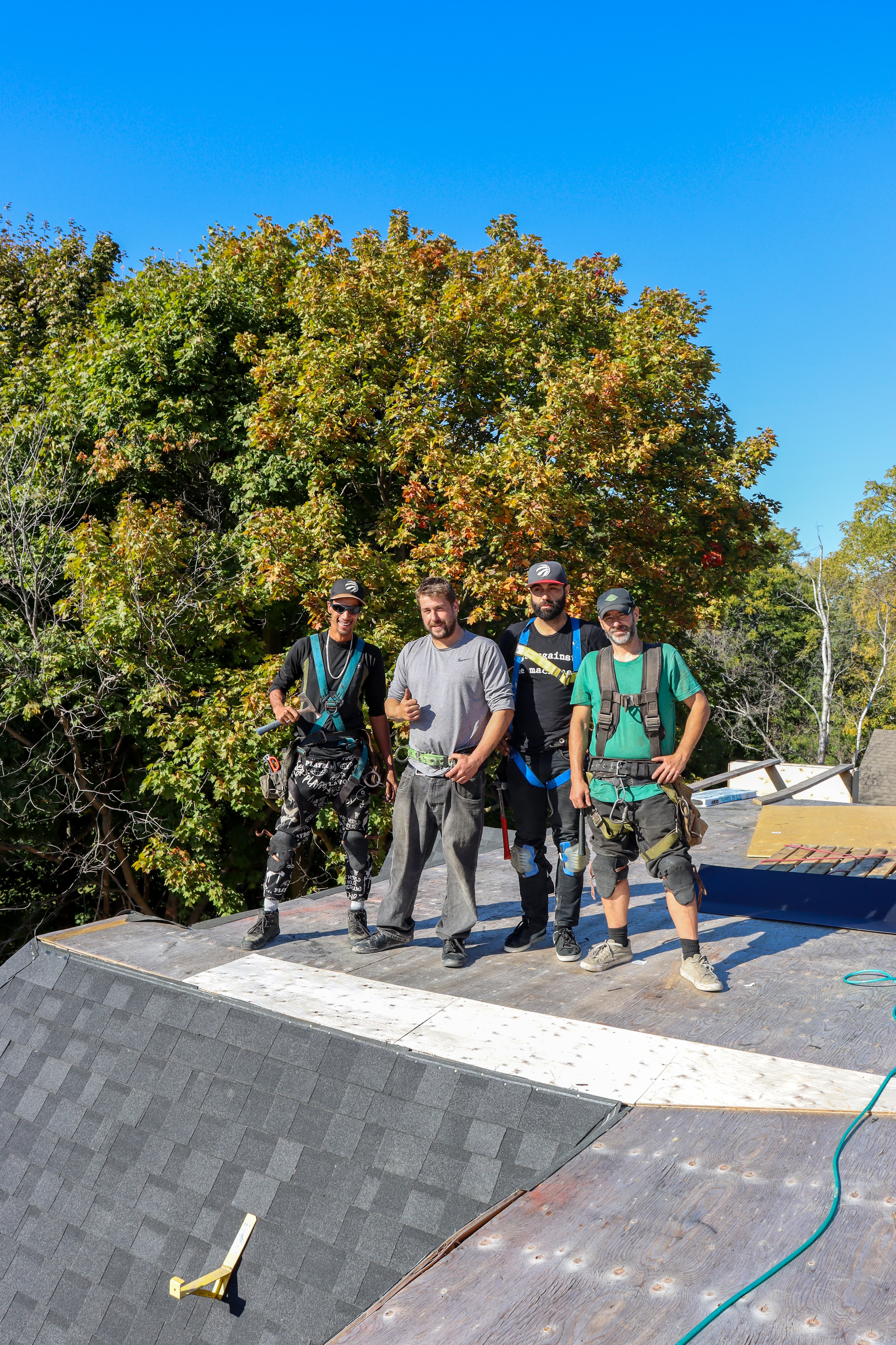 The trusted professional team of A-OK Roofing contractors smiling and giving a thumbs-up while standing on an active residential roof replacement project in Toronto. Four crew members wearing fall-protection safety harnesses pose confidently on the wood roof decking next to newly installed dark asphalt shingles. Contact our reliable local roofing experts for free estimates and dependable service across East York and the Greater Toronto Area.