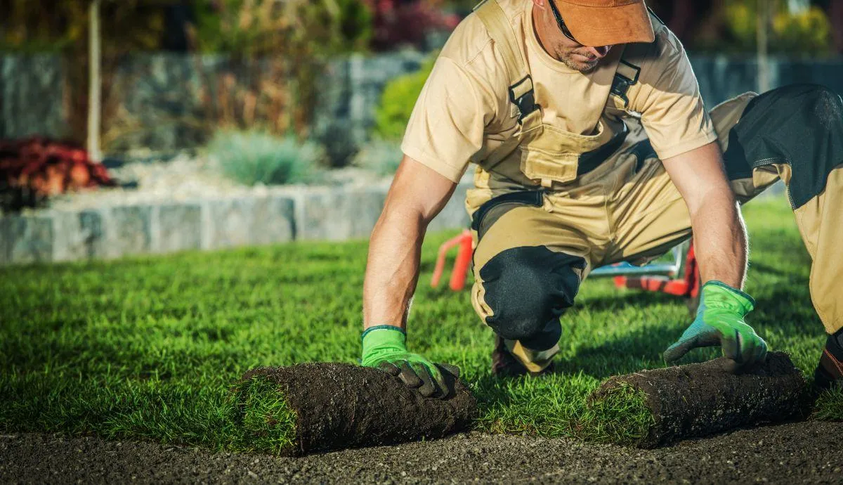 website deign landscapers queen creek-sterling apex