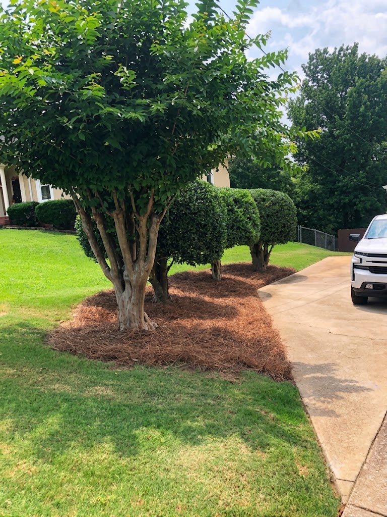 Pressure washing in
