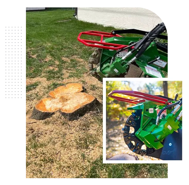 Professional Stump Grinding Columbus, Ohio Community Trusts
