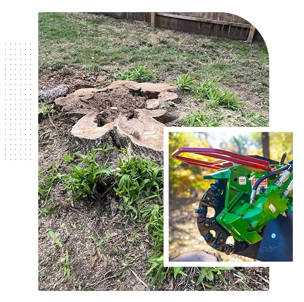Professional Stump Grinding Columbus, Ohio Community Trusts