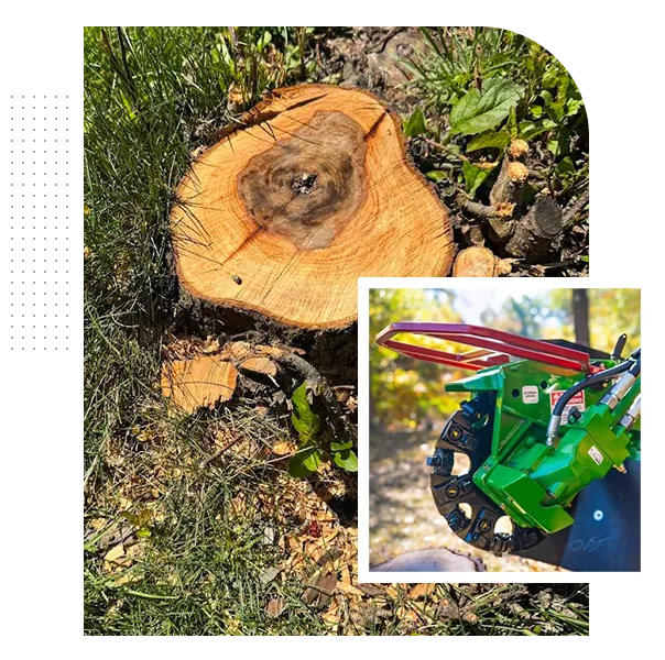 Professional Stump Grinding Columbus, Ohio Community Trusts