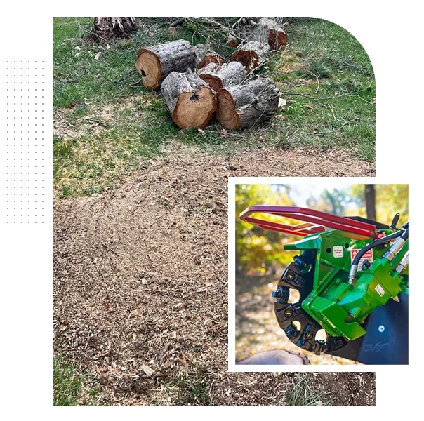 Professional Stump Grinding Columbus, Ohio Community Trusts