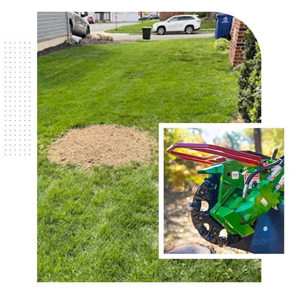 Professional Stump Grinding Columbus, Ohio Community Trusts