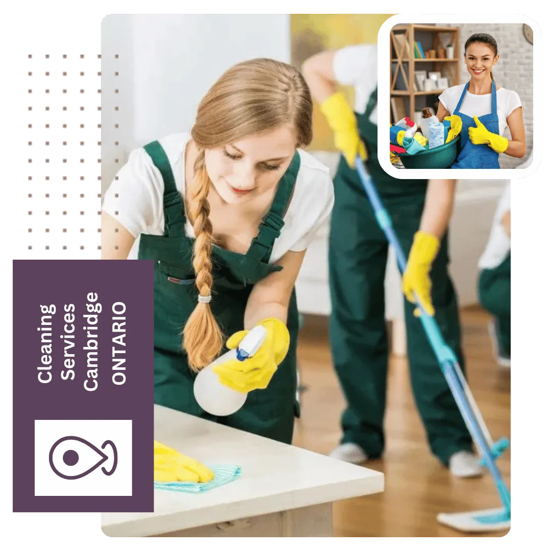 cleaning services, Cambridge ON