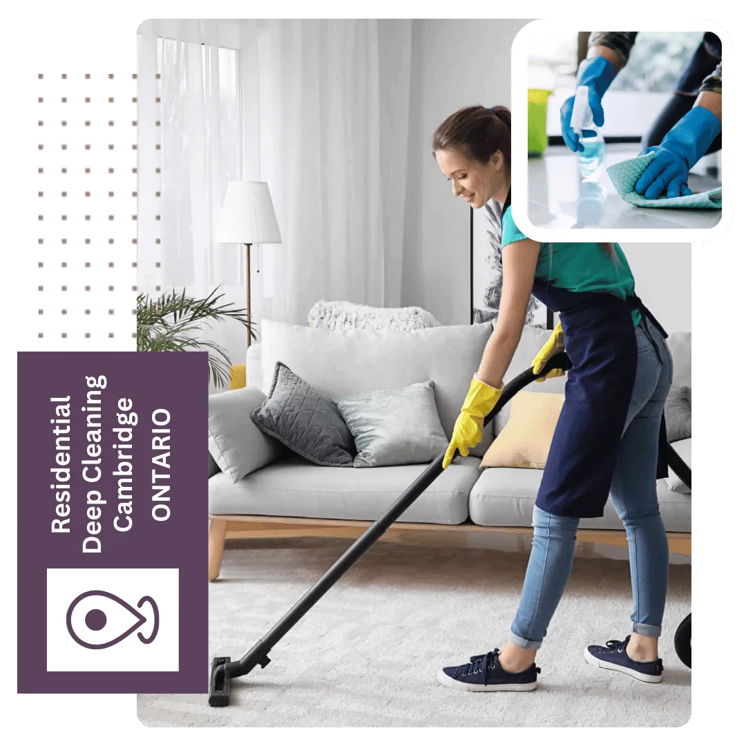 Carpet cleaning, Cambridge ON