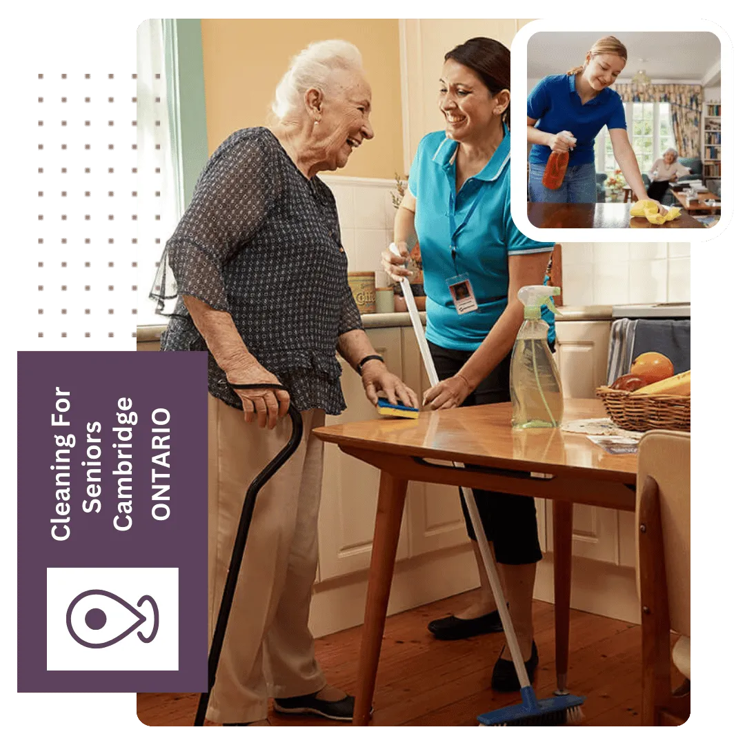 Senior cleaning services Cambridge ON