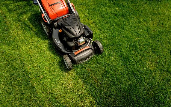 Lawn Care
