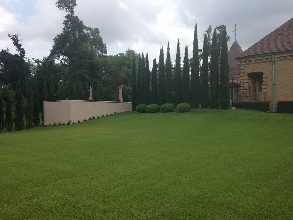 Landscape Installation
