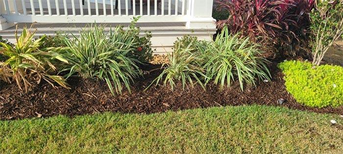Landscaping