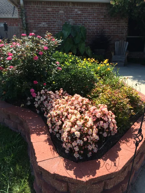 Flower Beds in Lake Charles