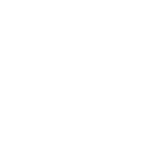 Leveraged Digital