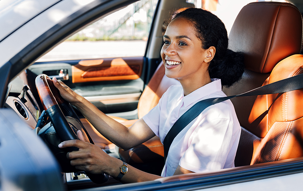 Auto Insurance by Alfa Insurance