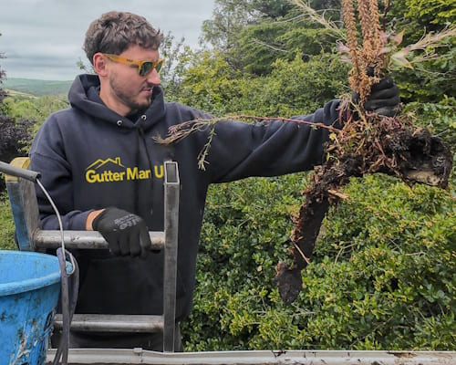 Gutter Cleaning in Exeter