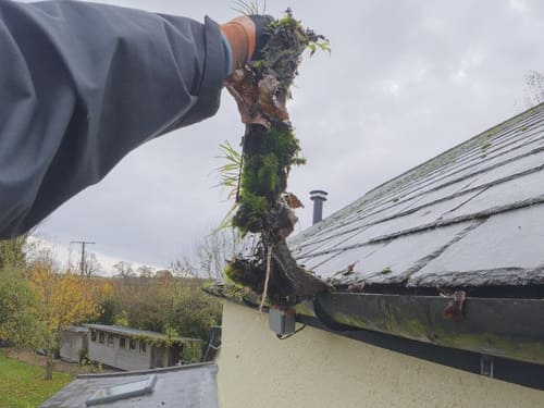 Gutter Cleaning in Exeter