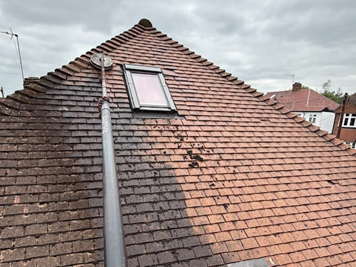 Roof Cleaning in Exeter