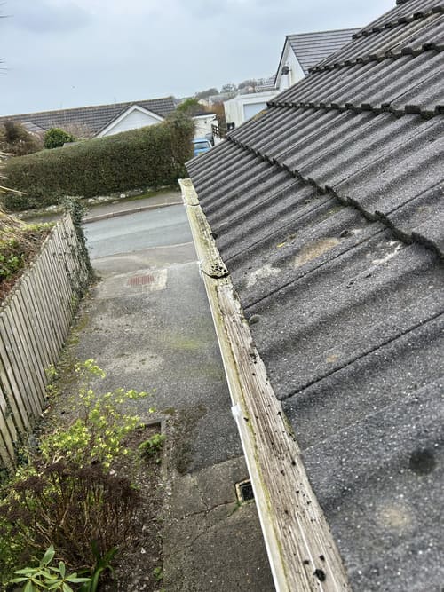 Solar Panel Cleaning Exeter