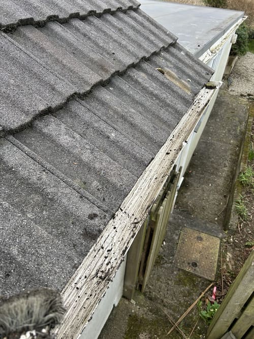 Pressure Washing Exeter