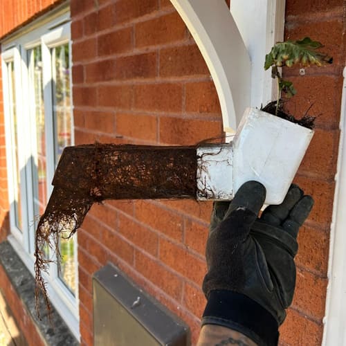 Exeter Gutter Repair