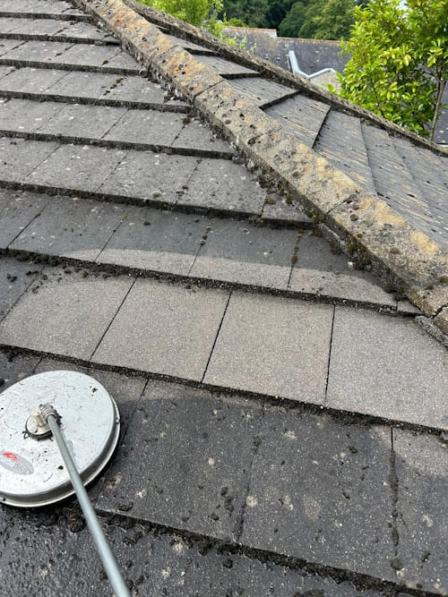 Gutter Cleaning