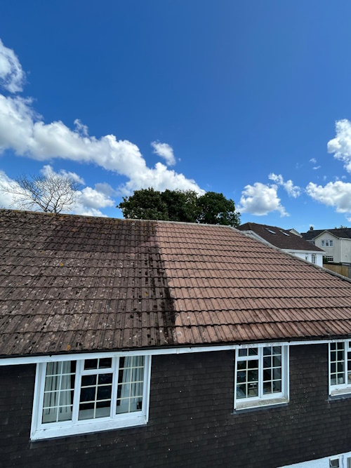 Gutter Cleaning