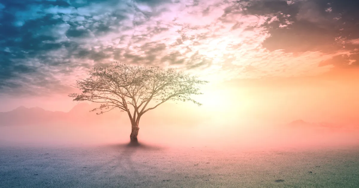 Past Life Regression: Why So Many People Feel Drawn to It