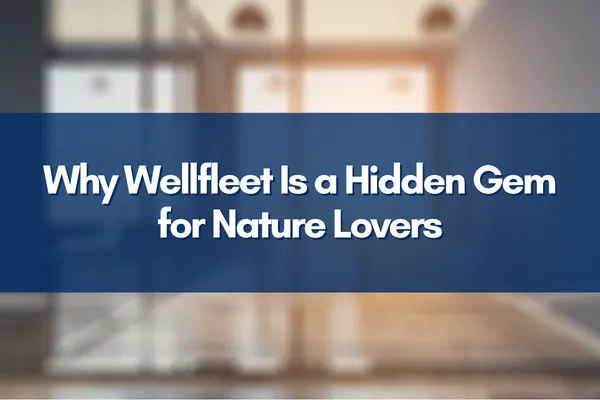 Serene salt marshes and white cedar swamp trails in Wellfleet, Cape Cod Massachusetts, perfect for nature lovers and outdoor enthusiasts.