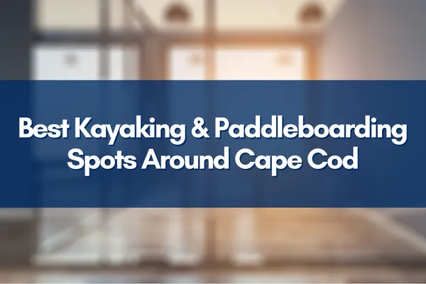 Kayaking peacefully through Cape Cod’s calm waters with scenic marshes in the background