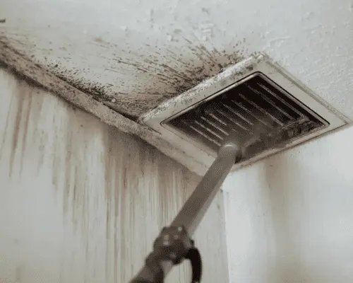 Fire Mitigation & Remediation in Brooklyn