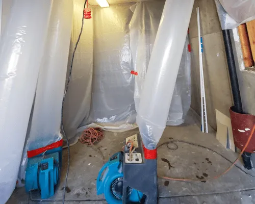 Water Mitigation & Remediation 