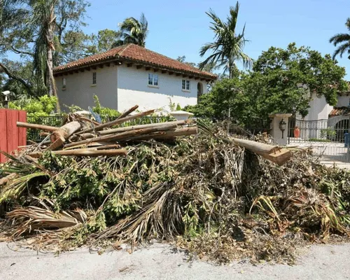  Fire Mitigation & Remediation